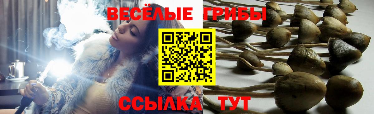 Псилоцибиновые грибы прущие грибы  Вход с VPN  Ливны 
